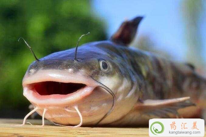 ׻֏ڿԳT~