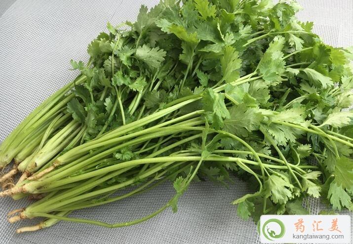 胰腺炎能吃香菜嗎 胰腺炎能吃香菜嗎